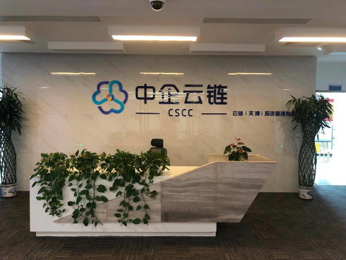 中企云链 安心扎根，舒心发展，创新金融科技服务与信息技术咨询